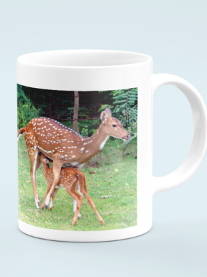 IIT Madras Coffee Mug - Deer with Calf 2