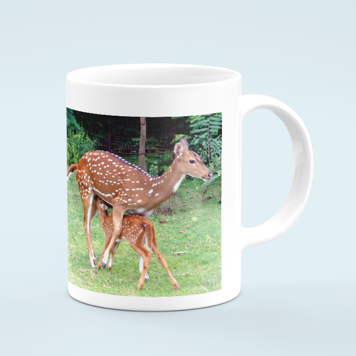 IIT Madras Coffee Mug - Deer with Calf